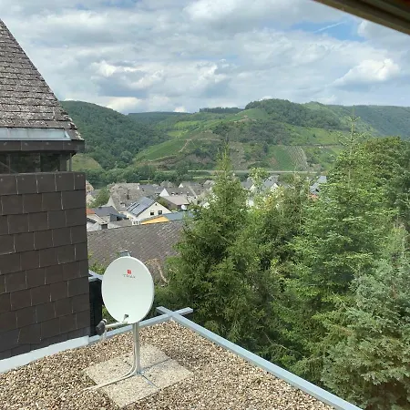 Turme Von Neumagen-dhron Villa *